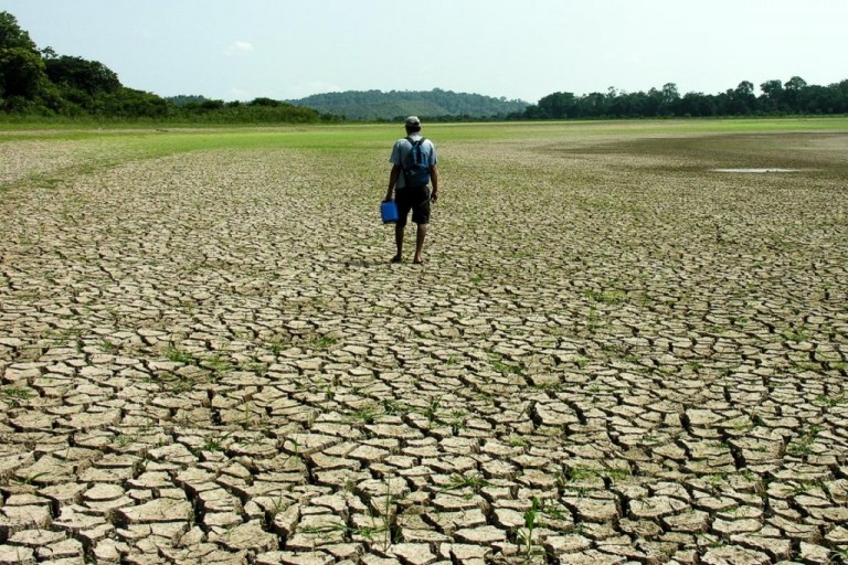 Amazon Rainforest Drought Driven by Climate Change, Study Reveals