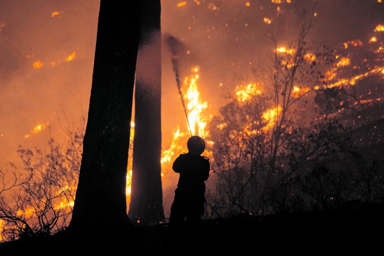 Chile Deadly Wildfires Could Happen Again Due to Climate Change, Reports Say